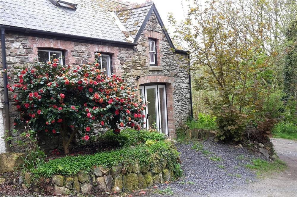 Cwmbrandy Holiday home Fishguard