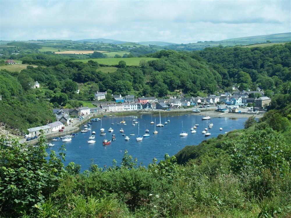 Cwmbrandy Holiday home Fishguard